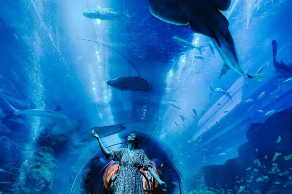 dubai mall aqurium